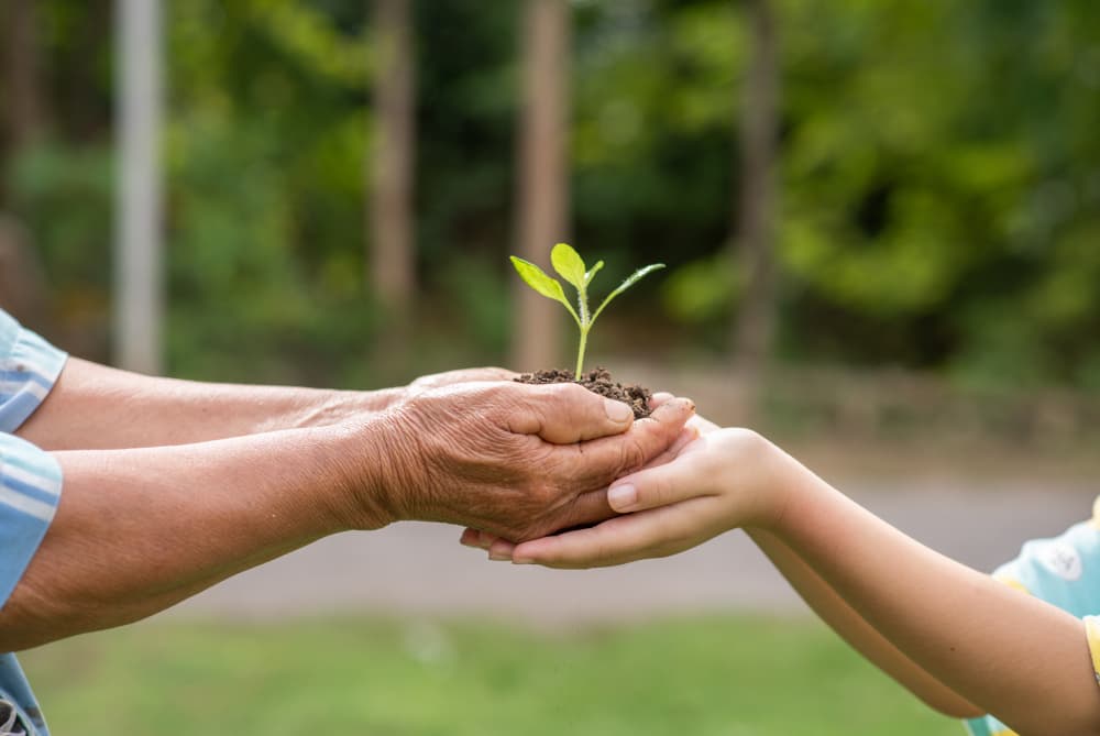 Dia mundial do meio ambiente no Brasil e sustentabilidade industrial